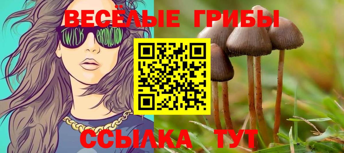 Малоярославец  Псилоцибиновые грибы мухоморы  Вход с VPN 